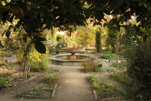 Падуанский ботанический сад