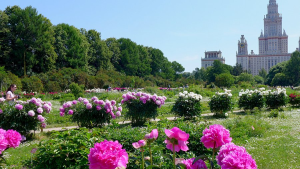 Ботанический сад МГУ